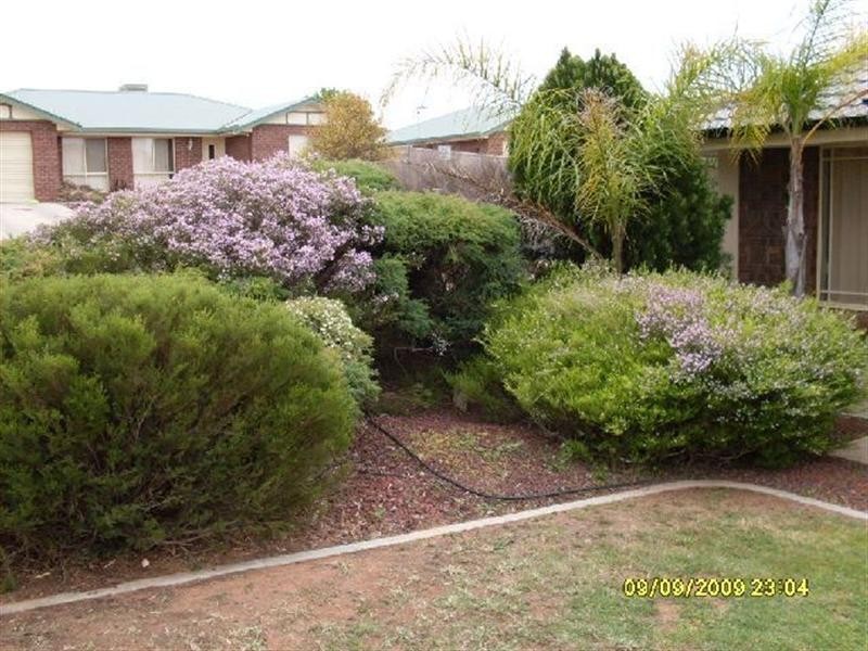 4B Hart Street, Berri SA 5343