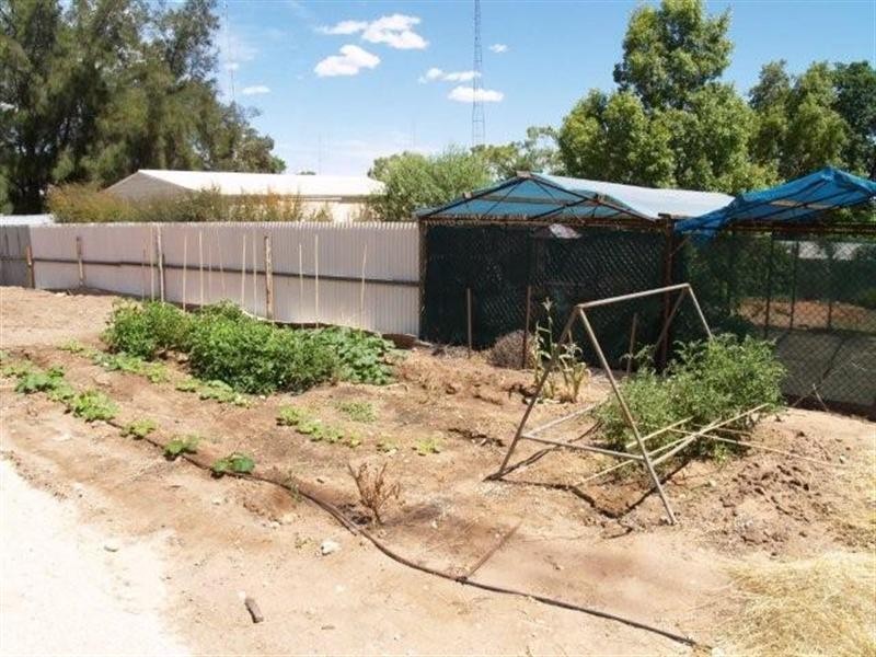 1 Kirby Street, Waikerie SA 5330