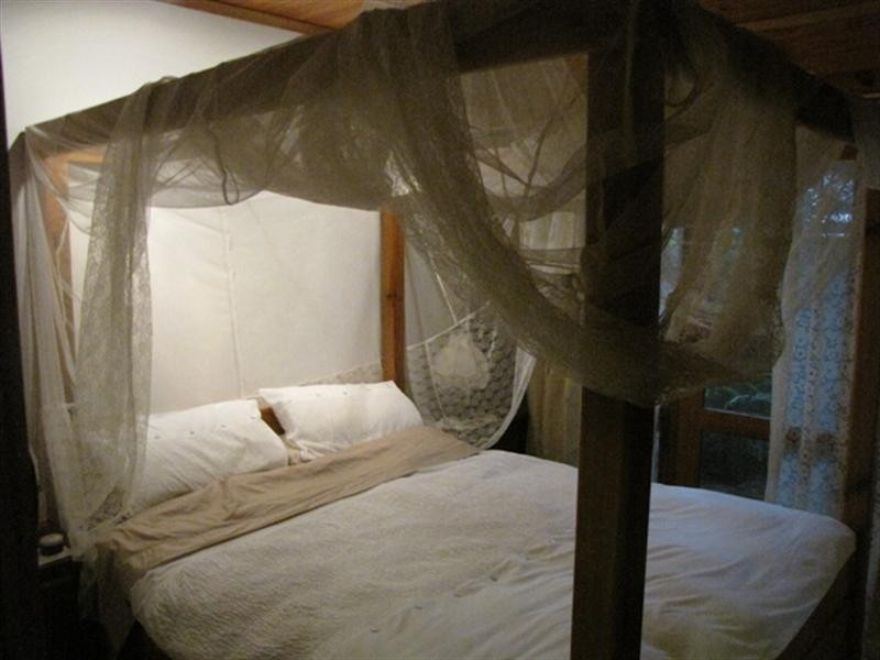 5 Garrard Street, Barmera SA 5345