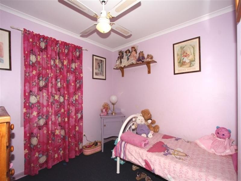 10 Don Elliott Drive, Waikerie SA 5330