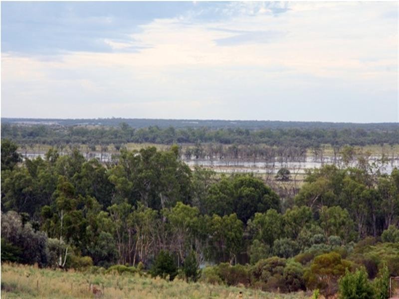 310 Karoonda, Loxton SA 5333