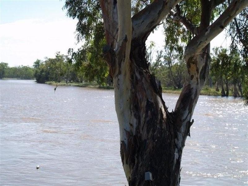 Lot 2 Brenda Park, Morgan SA 5320