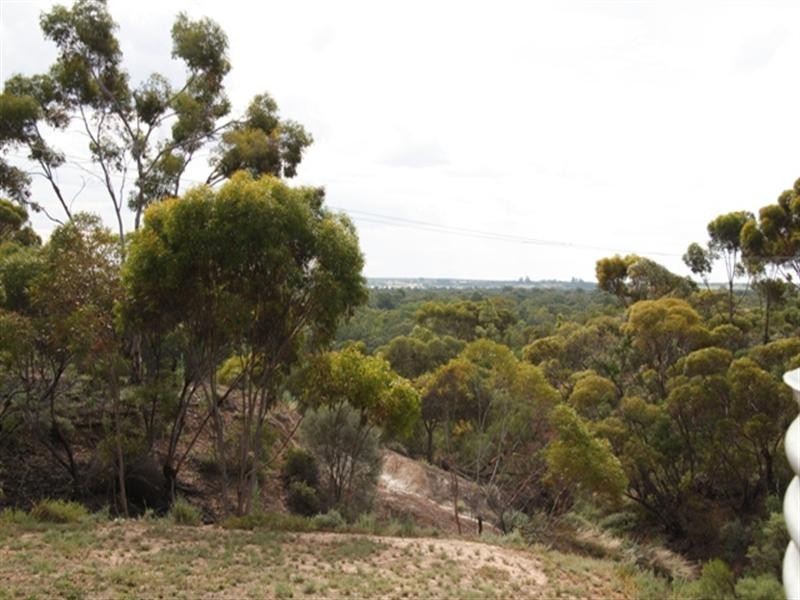 16 Nitschke Road, Berri SA 5343