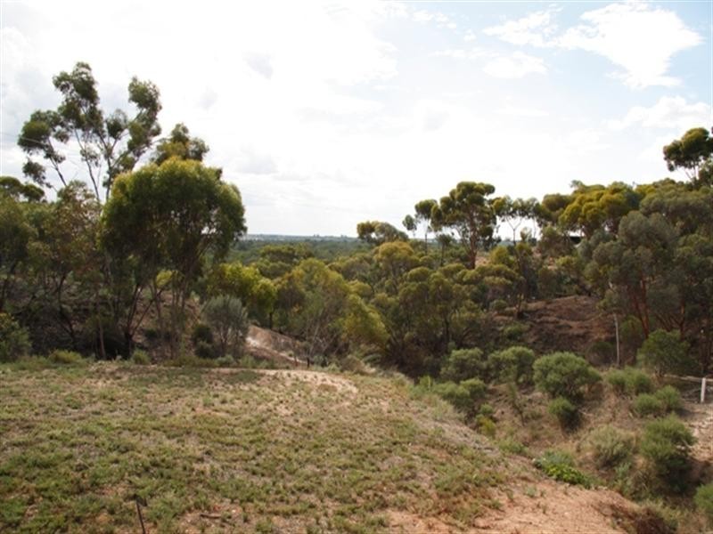 16 Nitschke Road, Berri SA 5343