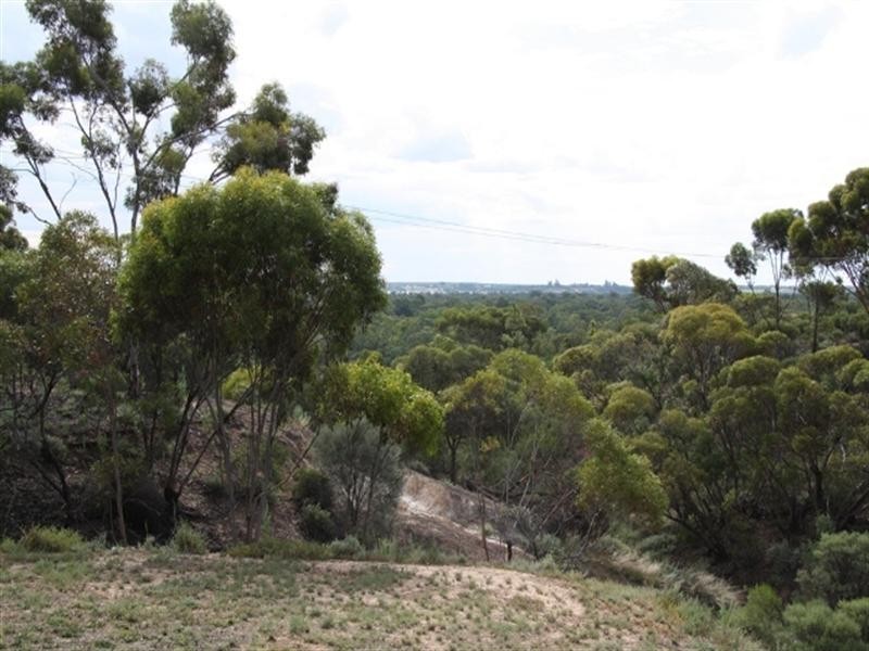 16 Nitschke Road, Berri SA 5343