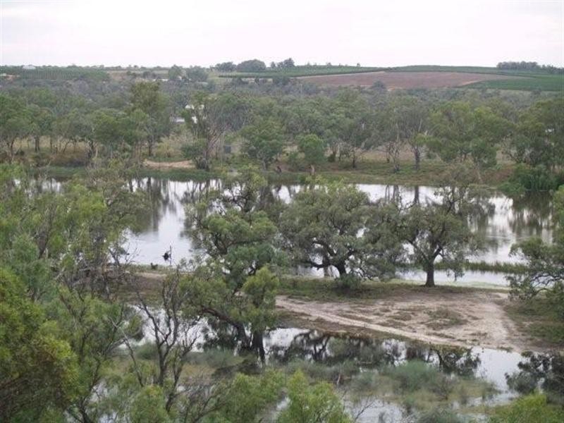 817 Murrayview Road, Waikerie SA 5330