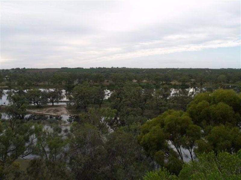 817 Murrayview Road, Waikerie SA 5330