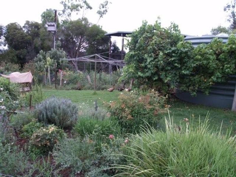 817 Murrayview Road, Waikerie SA 5330