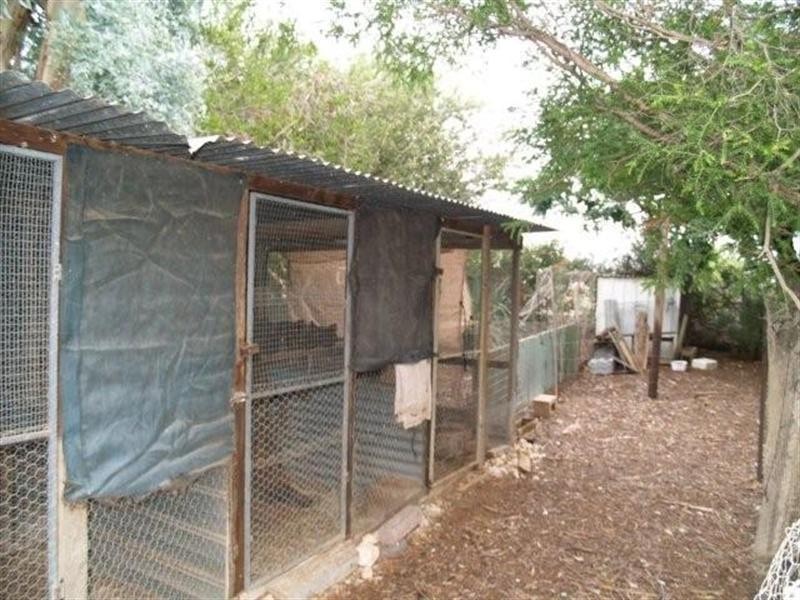 817 Murrayview Road, Waikerie SA 5330