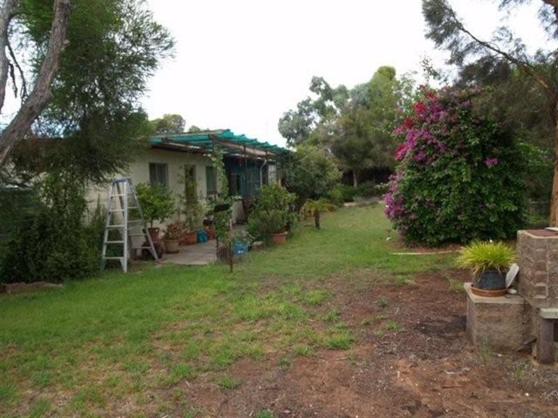 817 Murrayview Road, Waikerie SA 5330