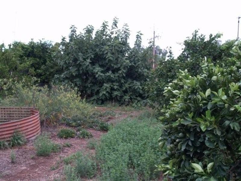 817 Murrayview Road, Waikerie SA 5330