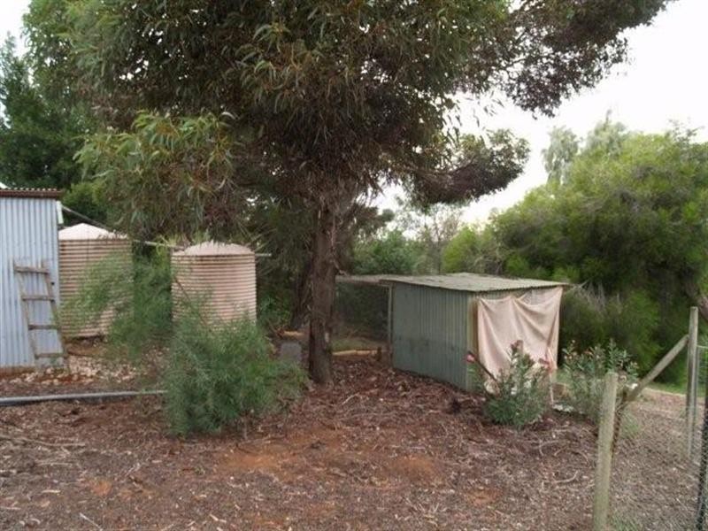 817 Murrayview Road, Waikerie SA 5330