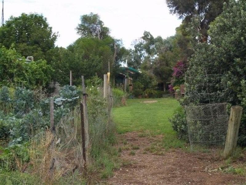 817 Murrayview Road, Waikerie SA 5330