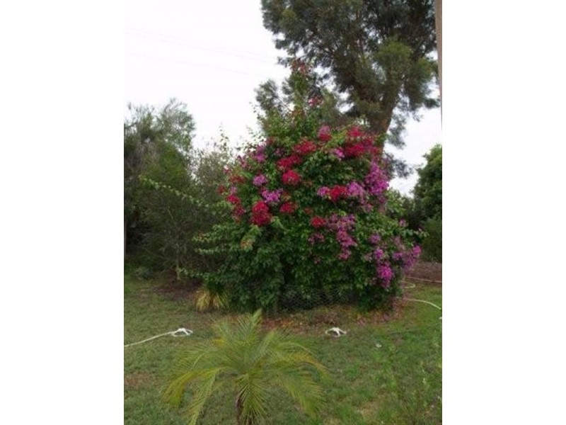 817 Murrayview Road, Waikerie SA 5330