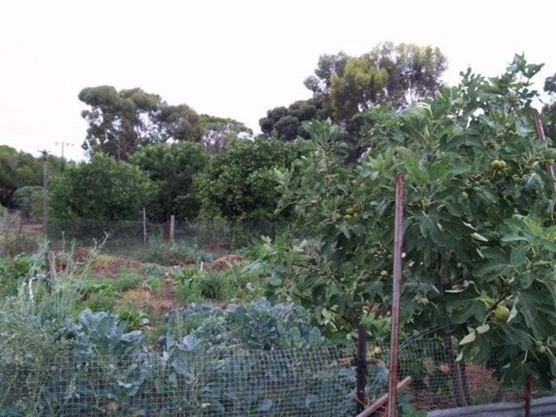 817 Murrayview Road, Waikerie SA 5330