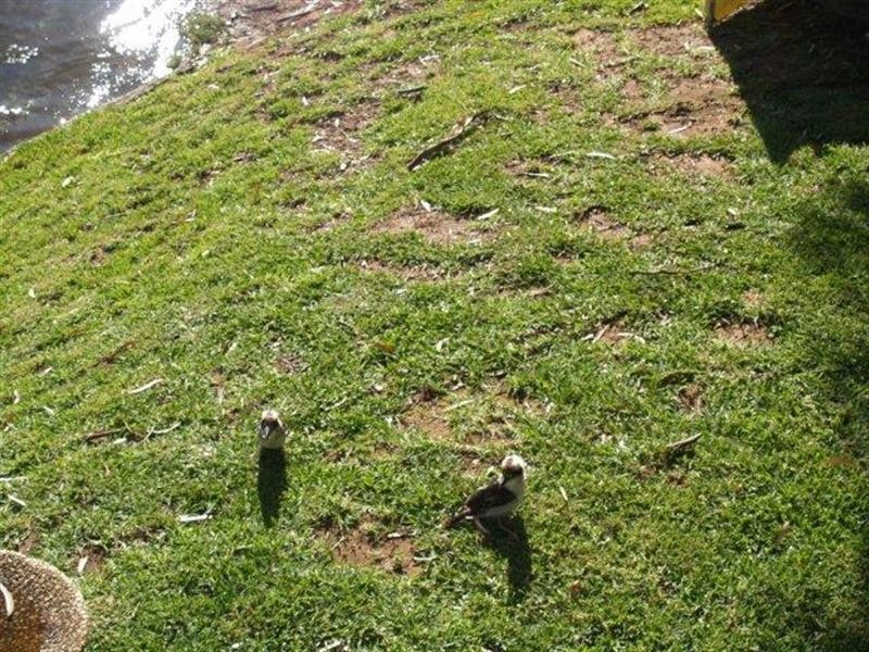 18 Page Drive, Blanchetown SA 5357