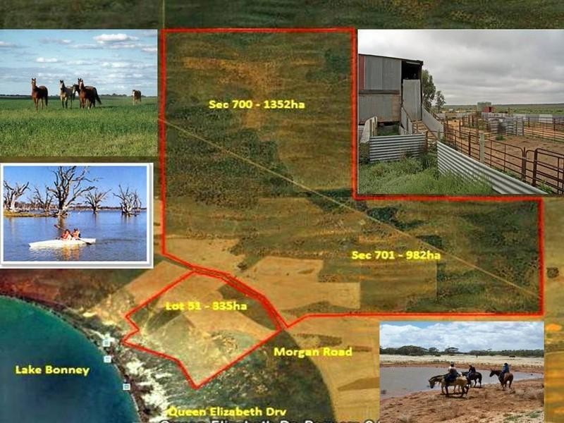 51,700,701 Morgan Road, Barmera SA 5345