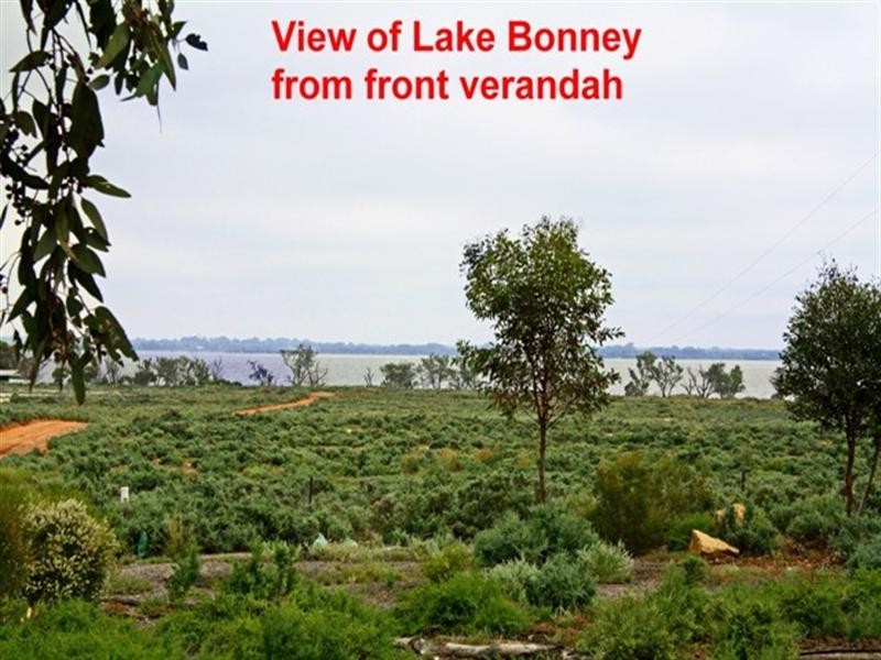 51,700,701 Morgan Road, Barmera SA 5345