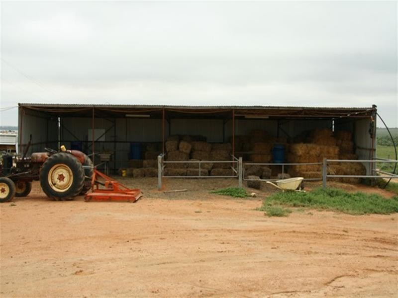 51,700,701 Morgan Road, Barmera SA 5345