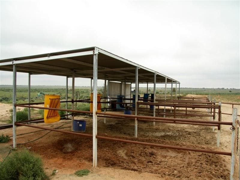 51,700,701 Morgan Road, Barmera SA 5345