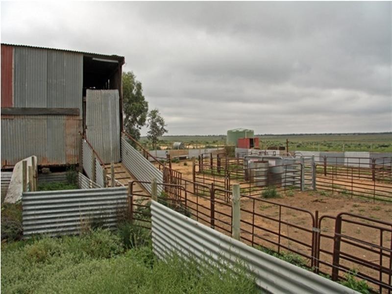 51,700,701 Morgan Road, Barmera SA 5345