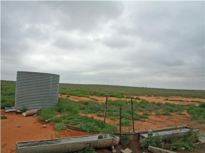 51,700,701 Morgan Road, Barmera SA 5345