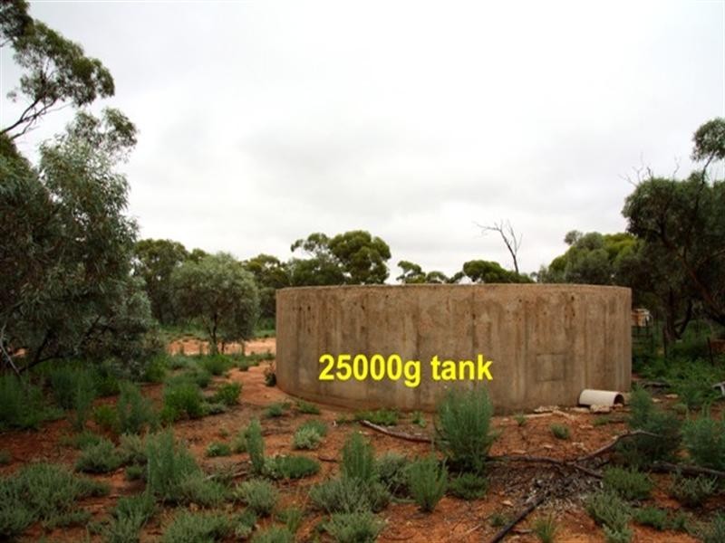 51,700,701 Morgan Road, Barmera SA 5345