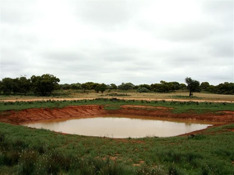 51,700,701 Morgan Road, Barmera SA 5345