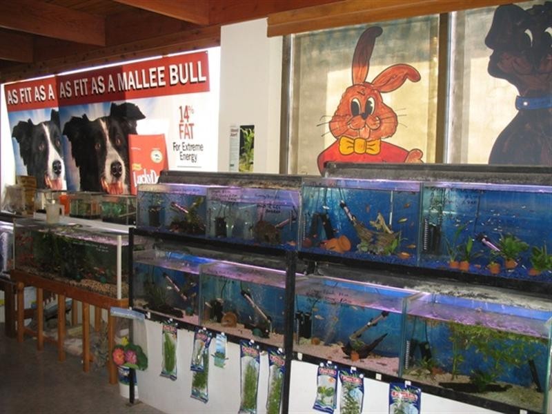 - Old Sturt Highway, Glossop SA 5344