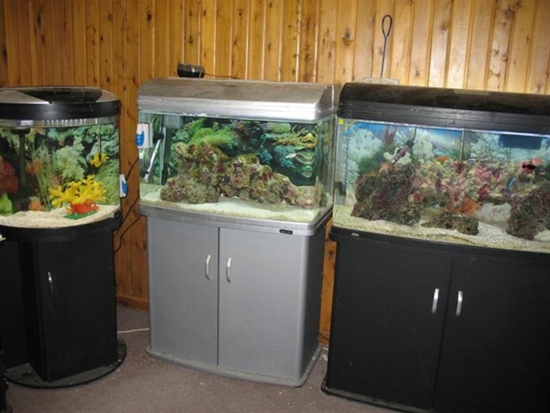 - Old Sturt Highway, Glossop SA 5344