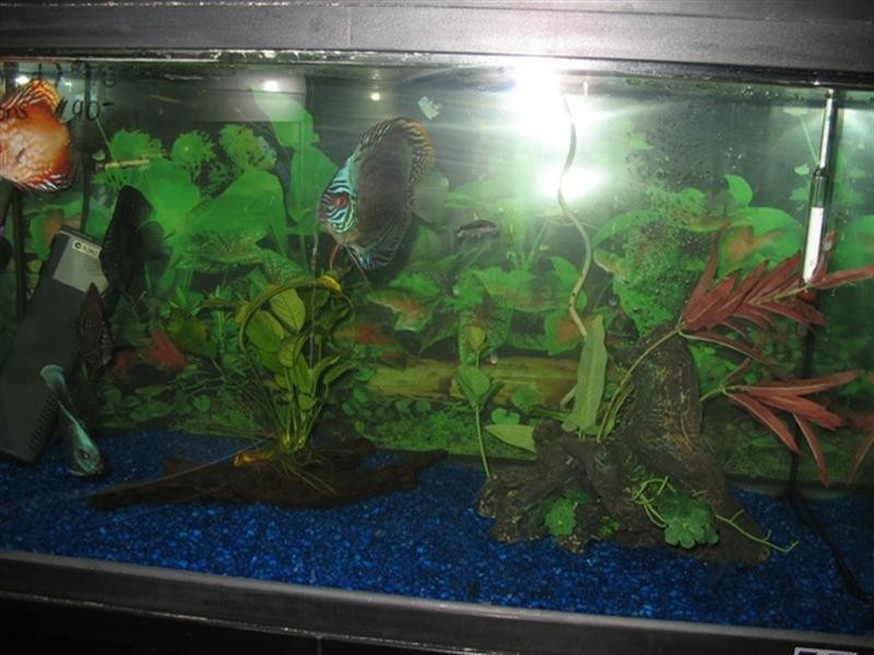 - Old Sturt Highway, Glossop SA 5344