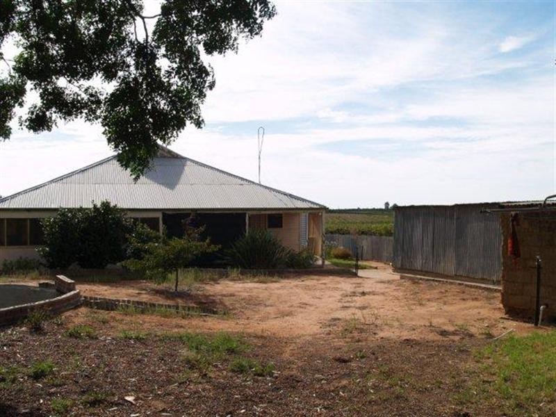 308 Virgo Road, Waikerie SA 5330