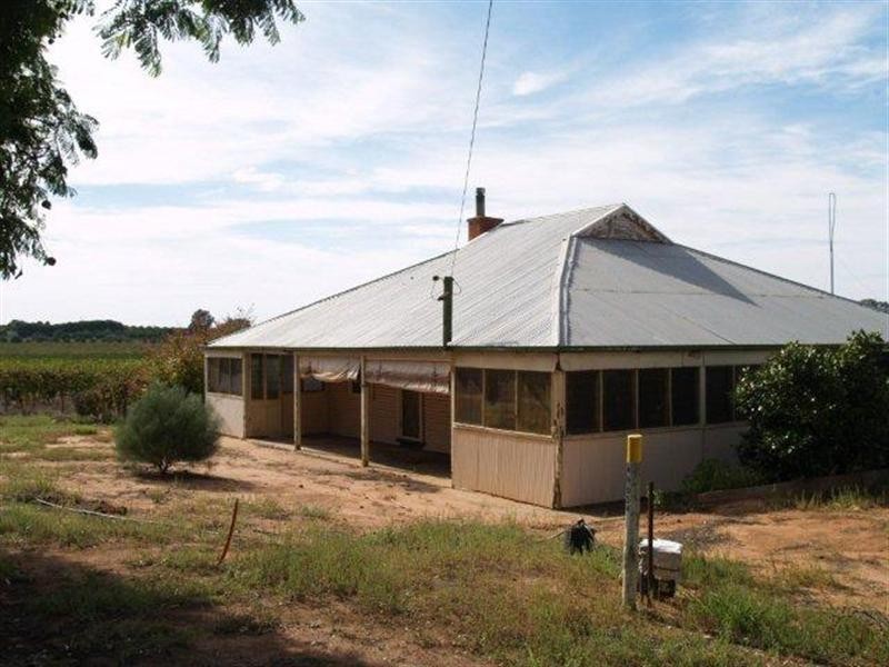 308 Virgo Road, Waikerie SA 5330