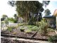 16 Aitken Street, Berri SA 5343