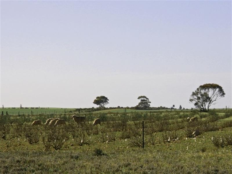 Sect 328 Hundred of Pyap, Loxton SA 5333