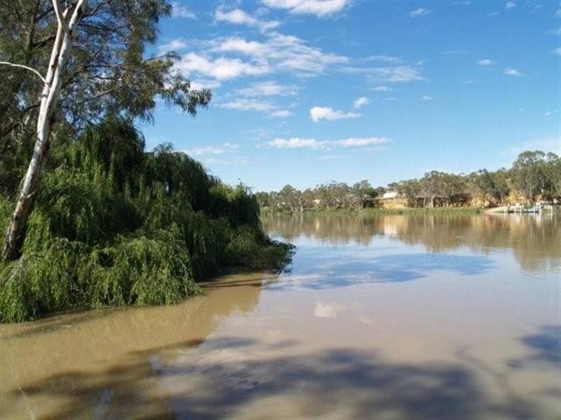 339 Old Punt Road, Blanchetown SA 5357