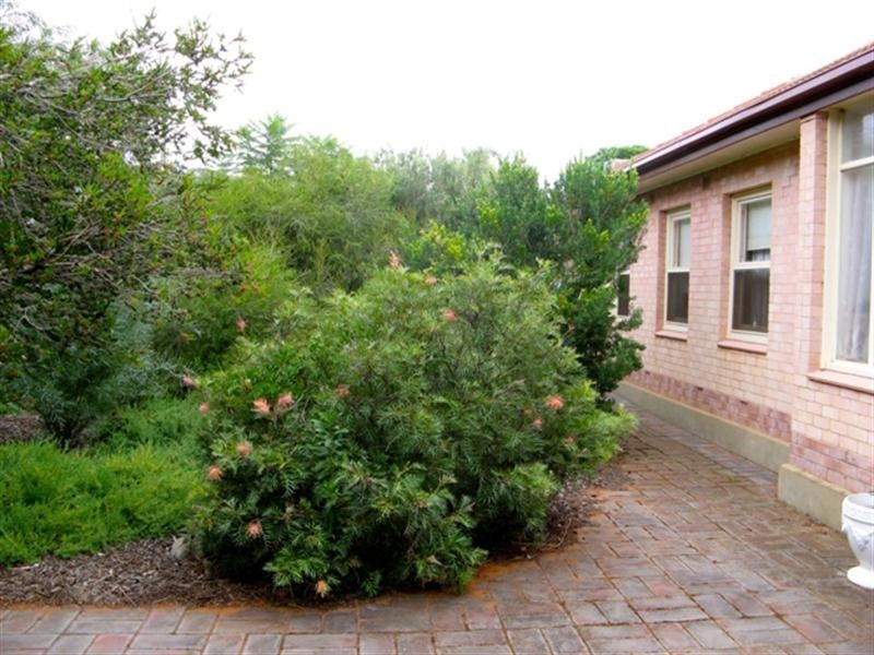 35 Kokoda Terrace, Loxton SA 5333