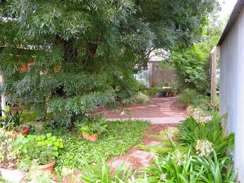 35 Kokoda Terrace, Loxton SA 5333