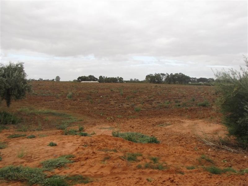 534 and 535 Gordon, Barmera SA 5345