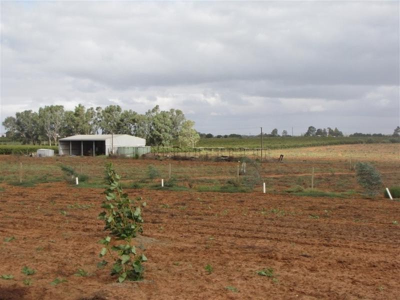 534 and 535 Gordon, Barmera SA 5345