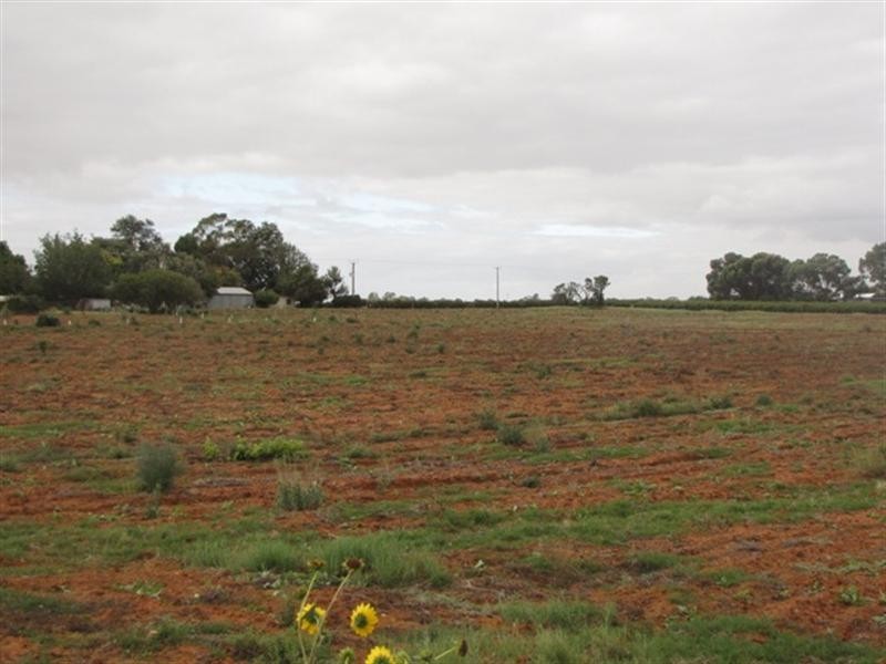 534 and 535 Gordon, Barmera SA 5345