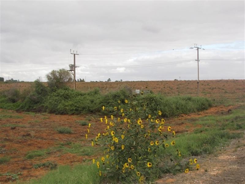 534 and 535 Gordon, Barmera SA 5345