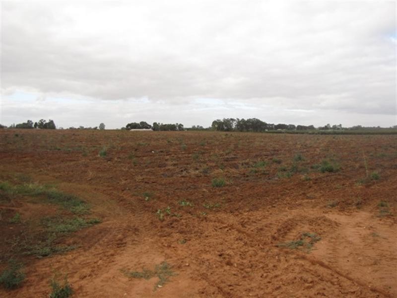 534 and 535 Gordon, Barmera SA 5345