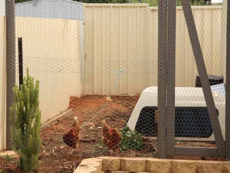 11 Schick Street, Loxton SA 5333