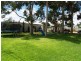 239 Virgo Road, Waikerie SA 5330