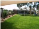 239 Virgo Road, Waikerie SA 5330