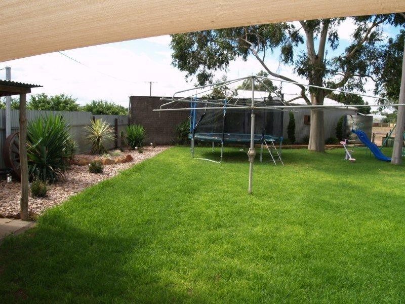 239 Virgo Road, Waikerie SA 5330