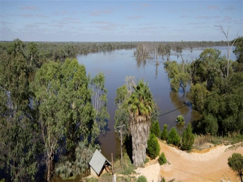 79 Casson Avenue, Loxton SA 5333