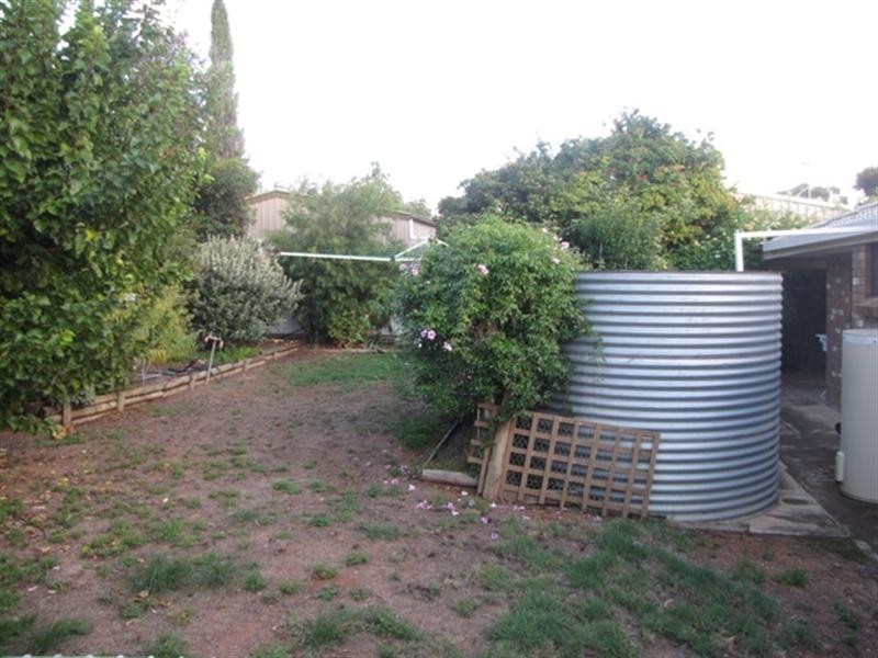 97 Kay Avenue, Berri SA 5343