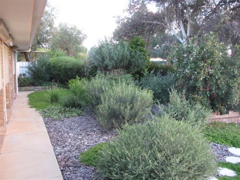 97 Kay Avenue, Berri SA 5343